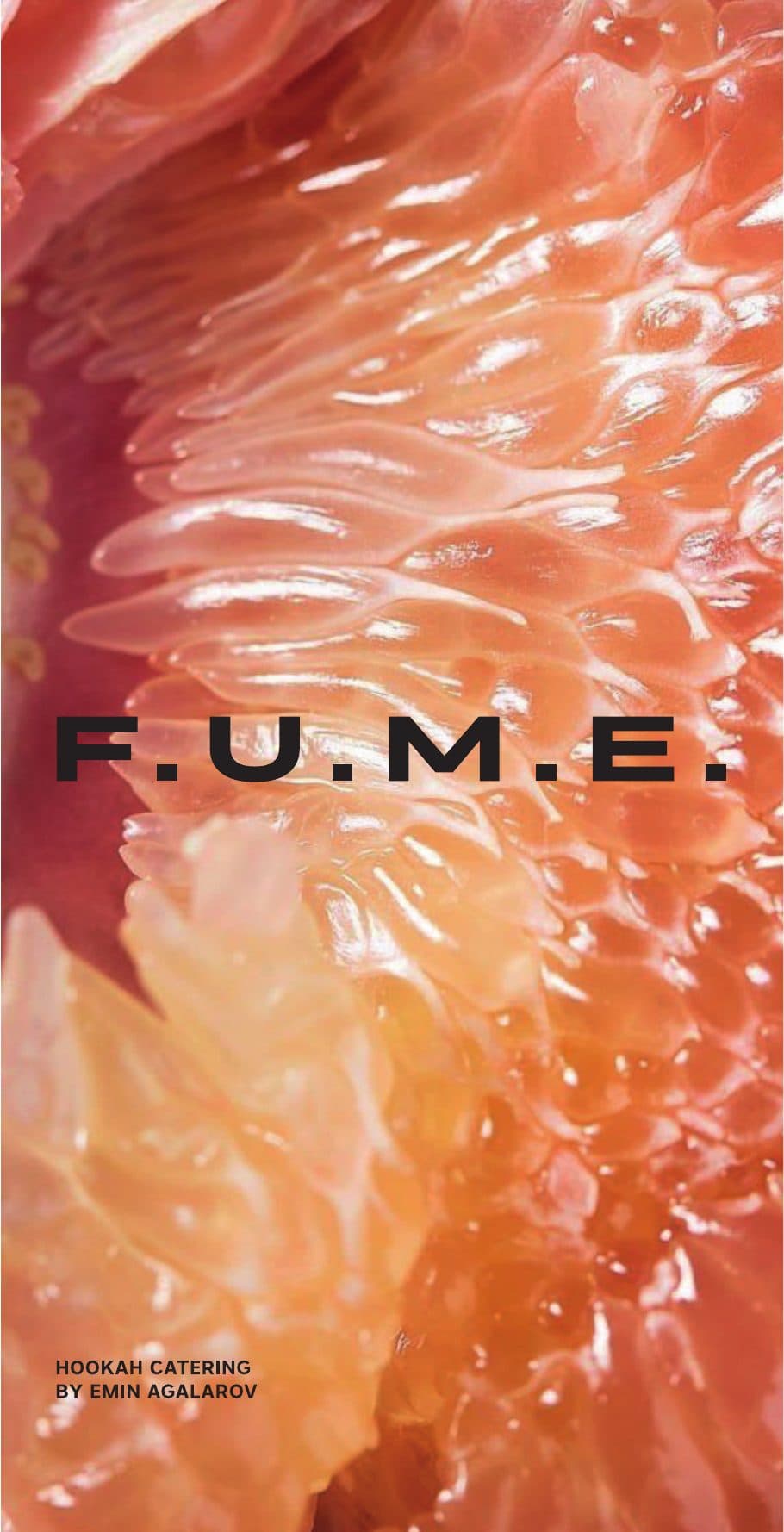 F.U.M.E. menyu 2