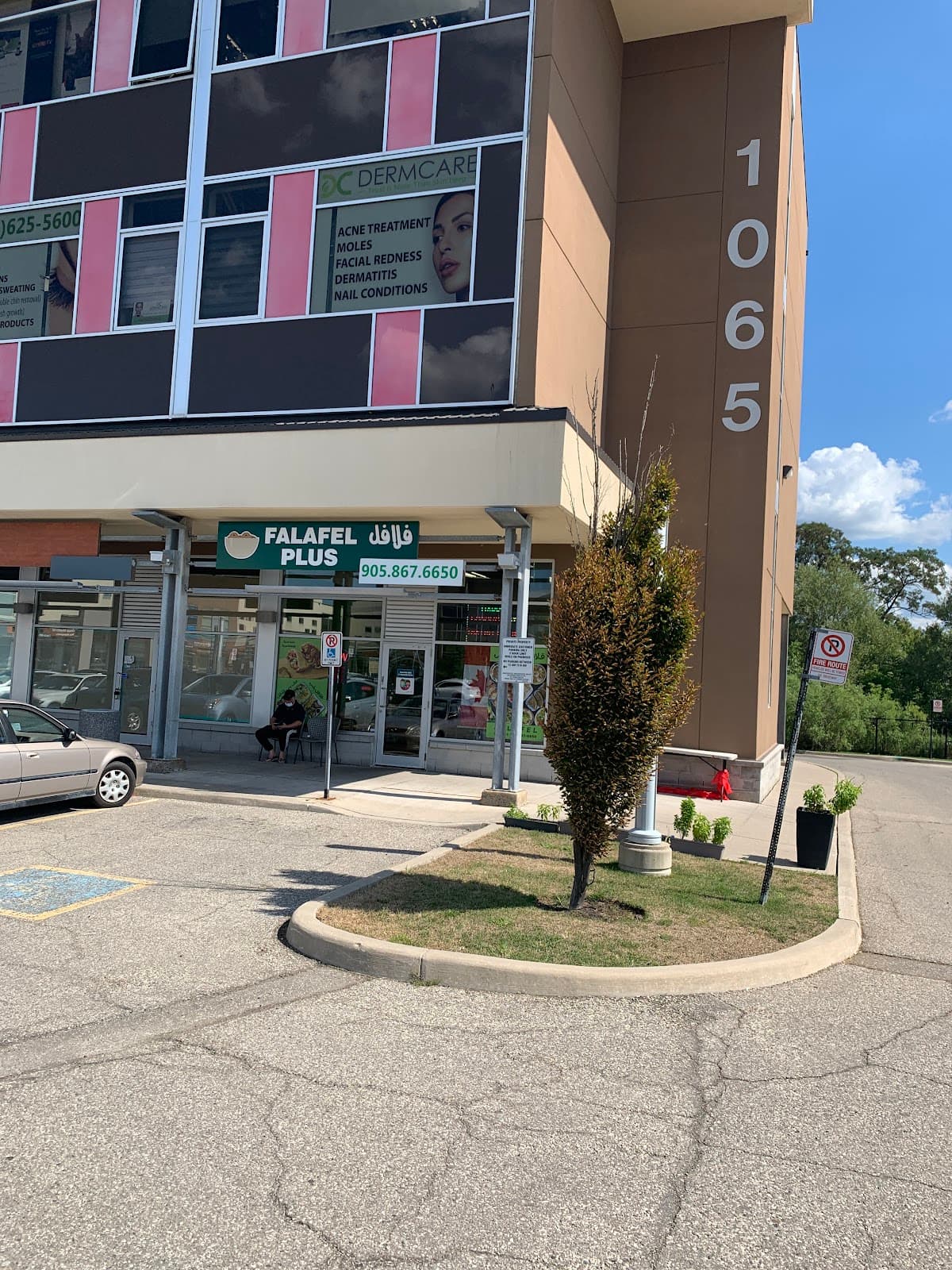 Falafel Plus