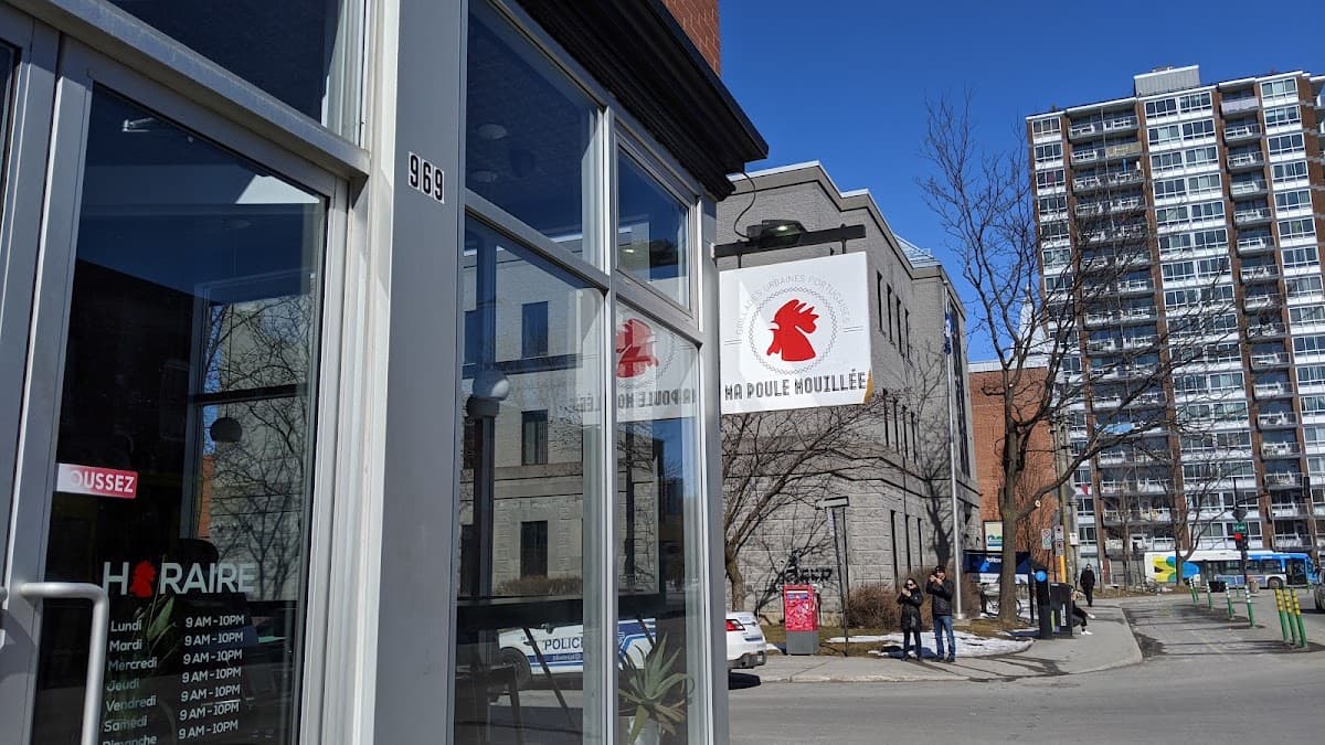 Ma Poule Mouillée