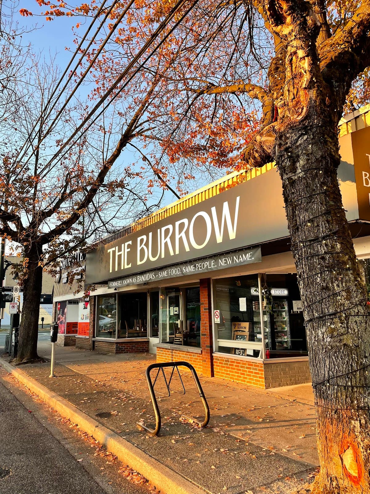 The Burrow