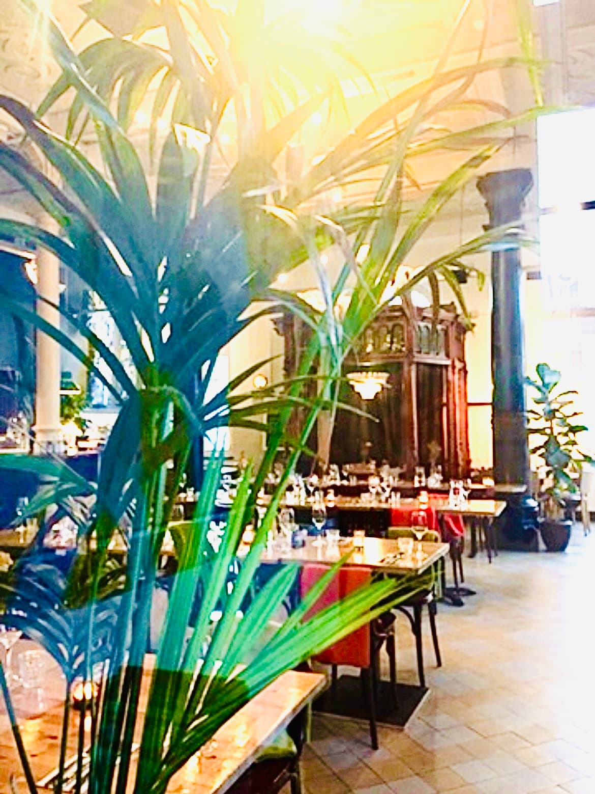 Eetcafé Hagedis