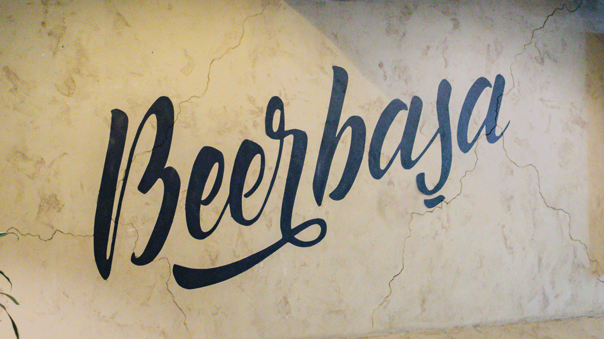 BeerBasha Light